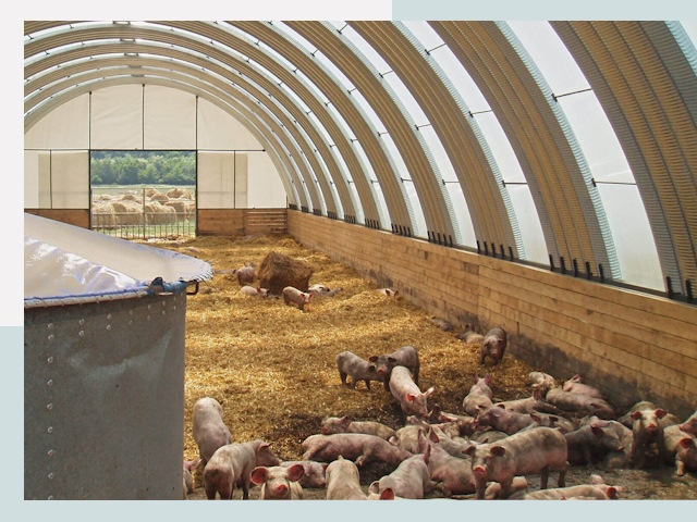 Строительство свинарников в Стерлитамаке